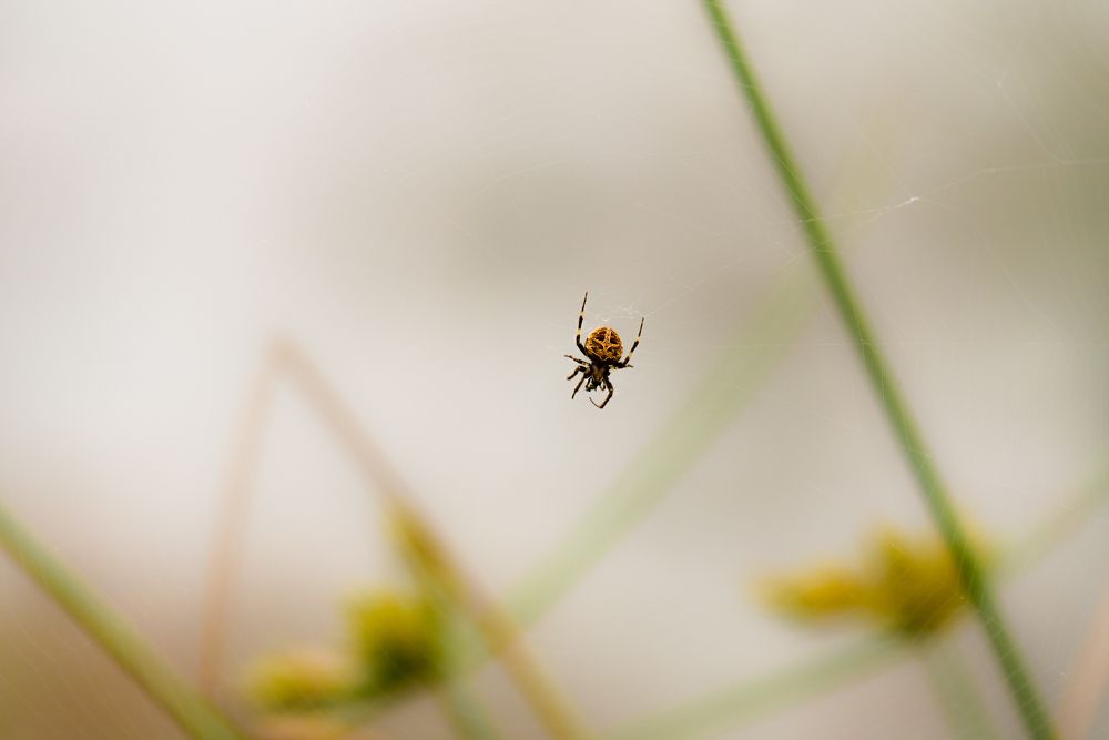 Photograph by Upayan Chatterjee