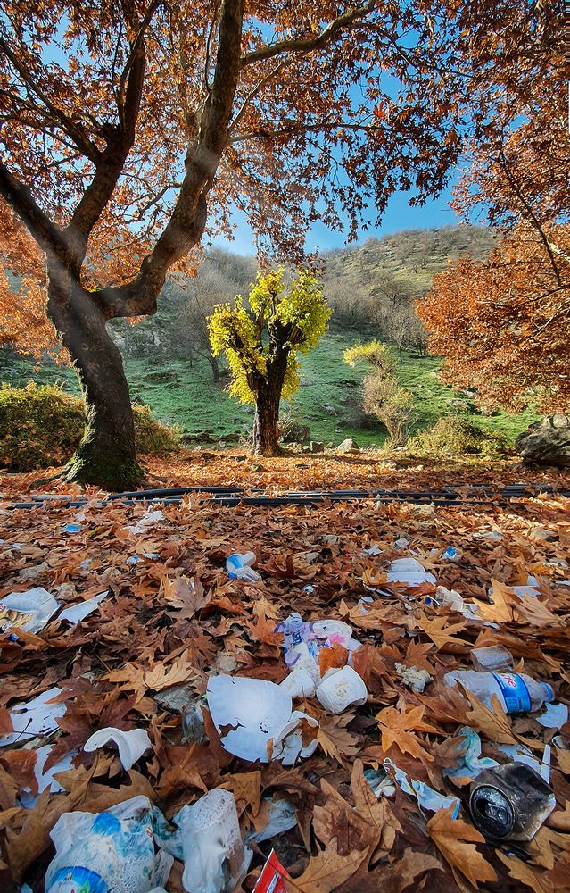 Photograph by Eliiyasz