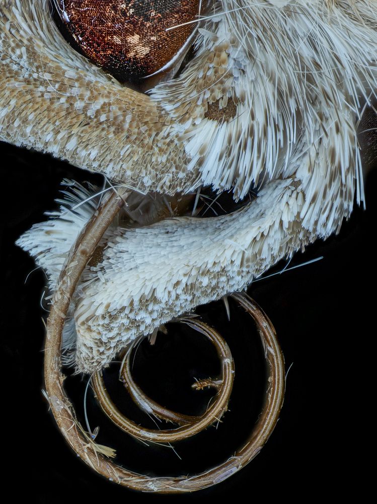 Photograph by Dmitry Melentev