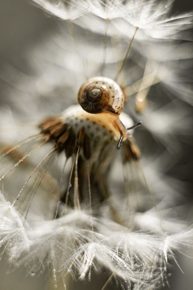 Photograph by Анна