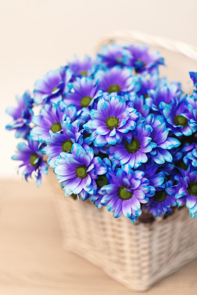 Photograph by Svetlana Jarbuse