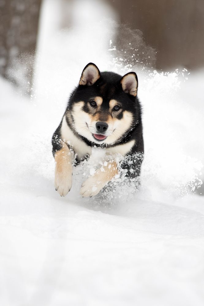 Photograph by Светлана Писарева