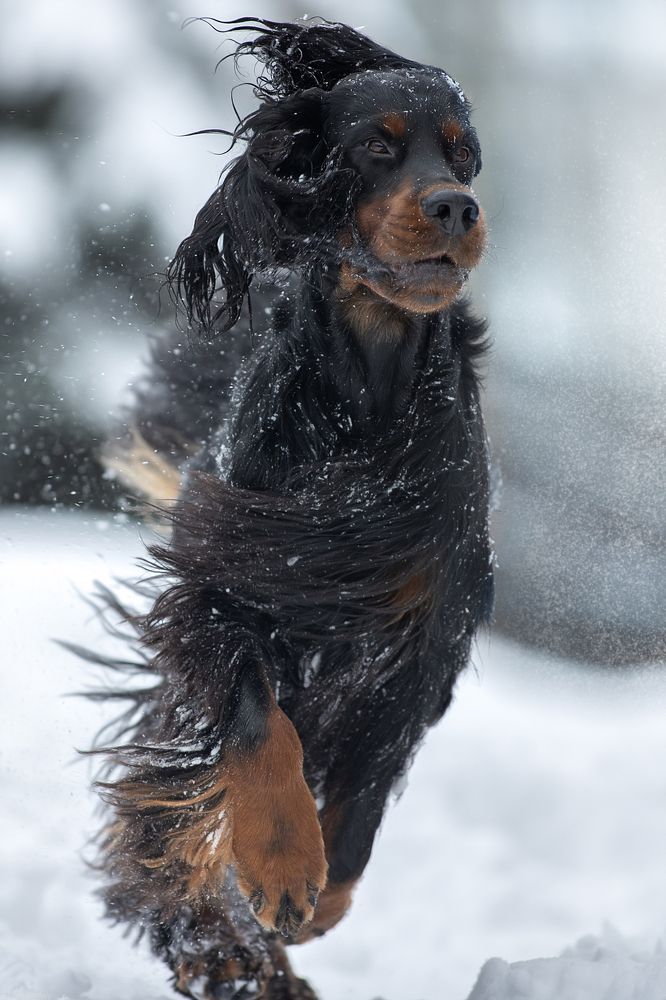 Photograph by Светлана Писарева