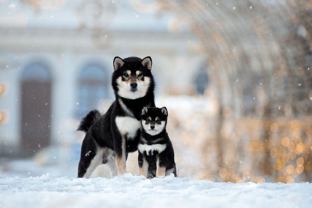 Photograph by Светлана Писарева