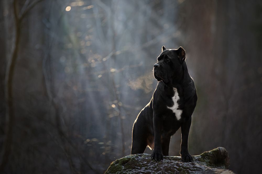 Photograph by Светлана Писарева