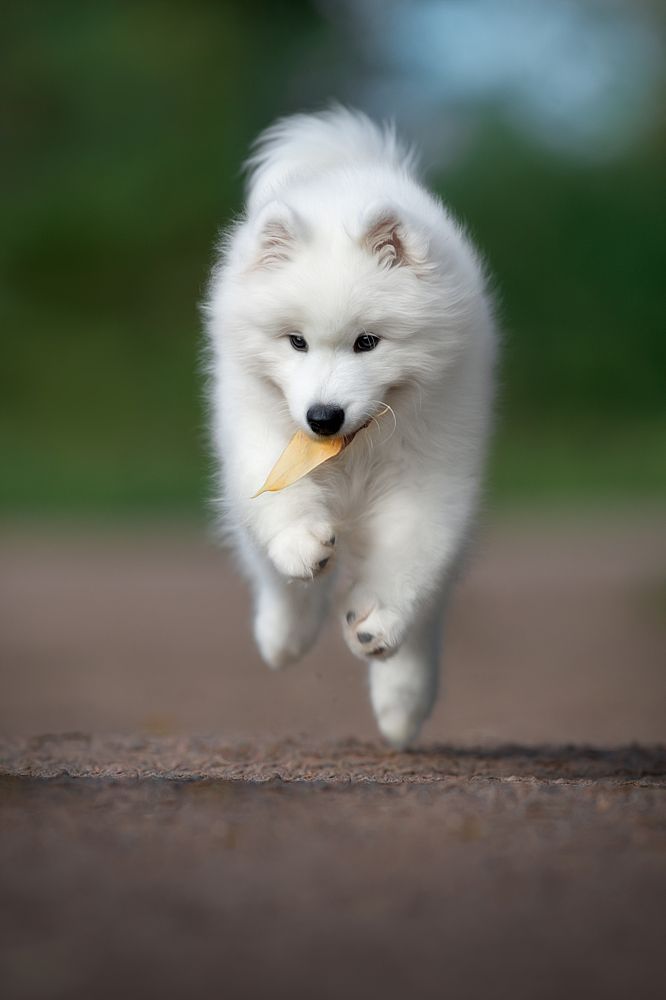 Photograph by Светлана Писарева