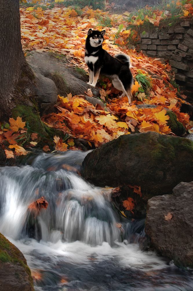 Photograph by Светлана Писарева