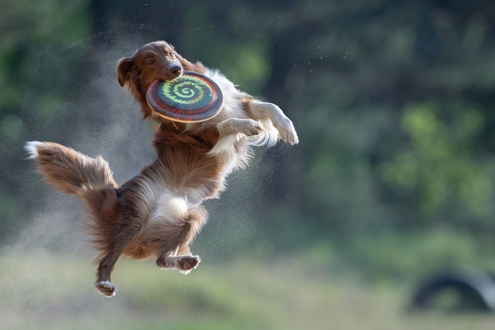 Photograph by Светлана Писарева