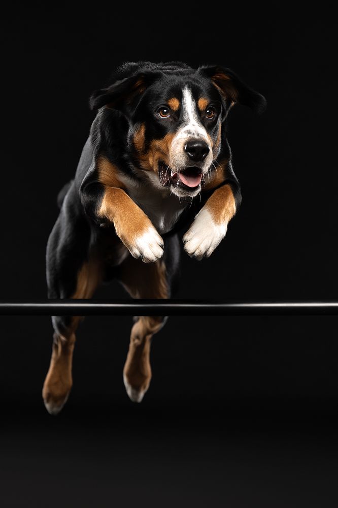 Photograph by Светлана Писарева