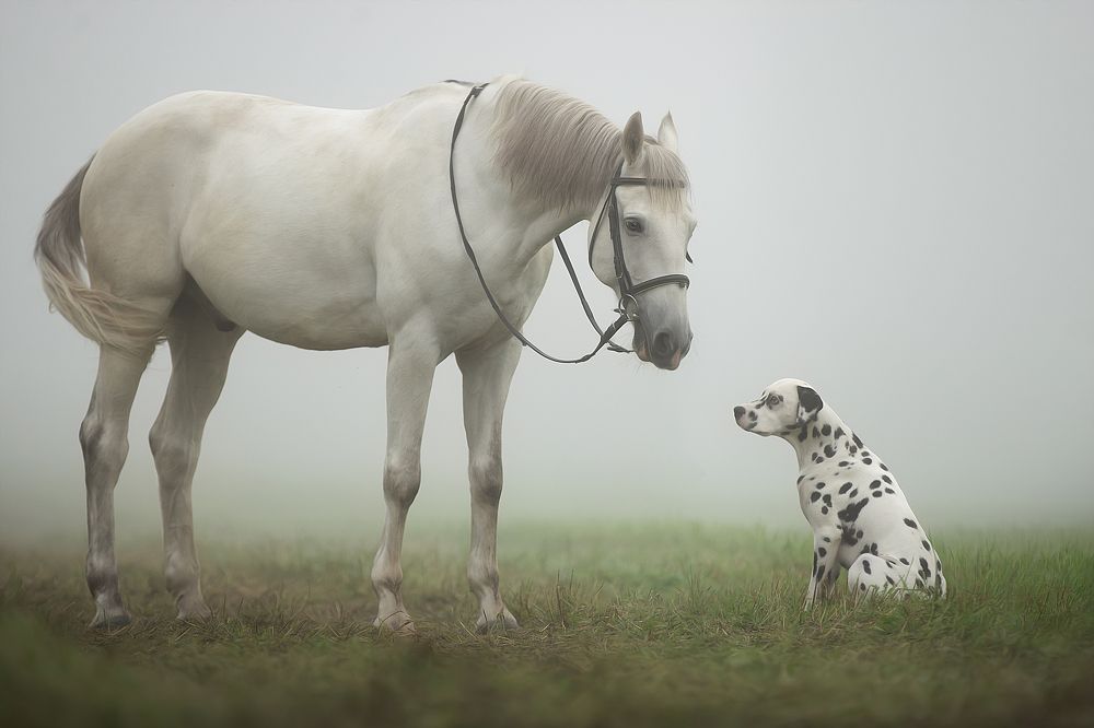 Photograph by Светлана Писарева