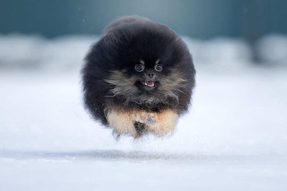 Photograph by Светлана Писарева