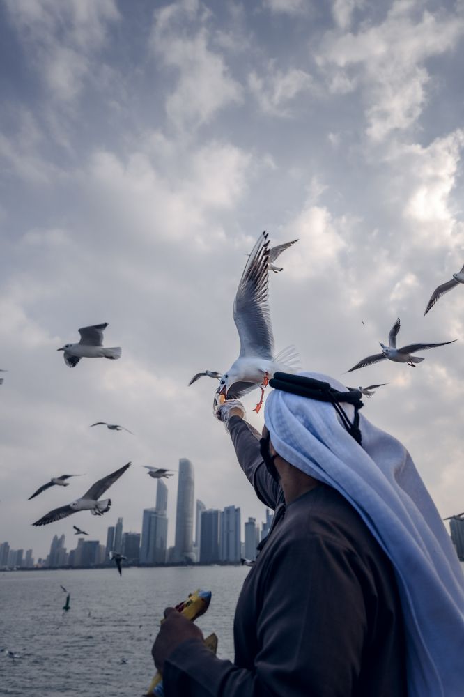 Photograph by Amar Habeeb