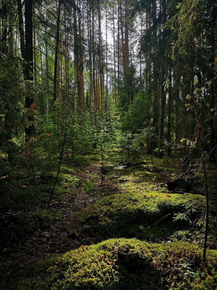 Photograph by Екатерина