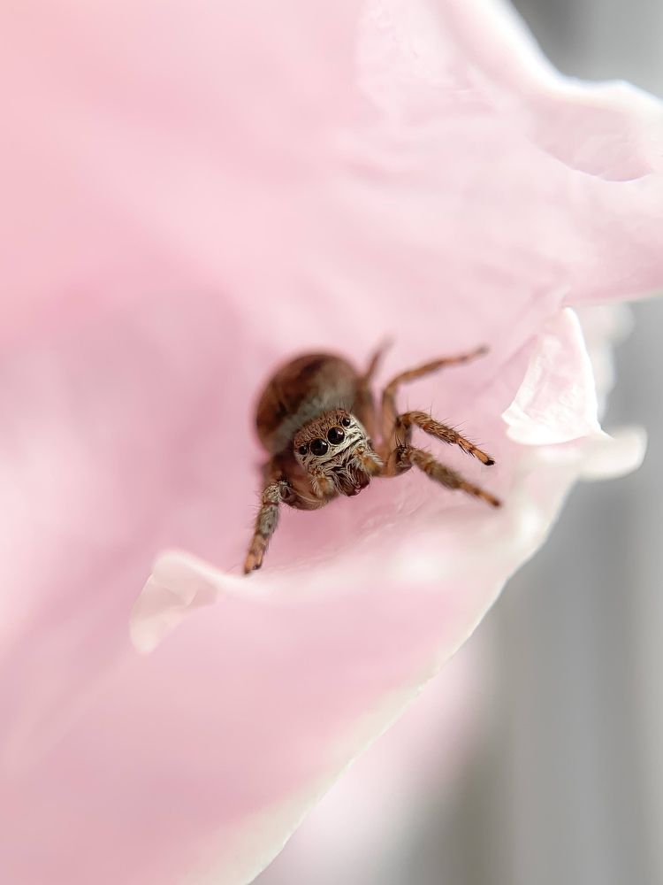 Photograph by Анна