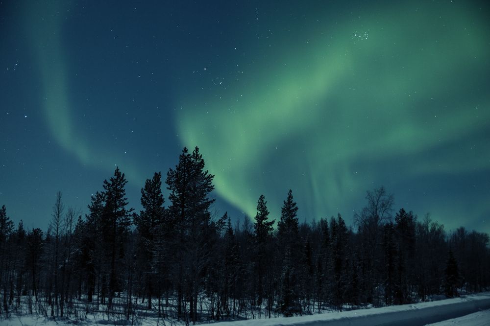 Фотография автора Андрей Русских