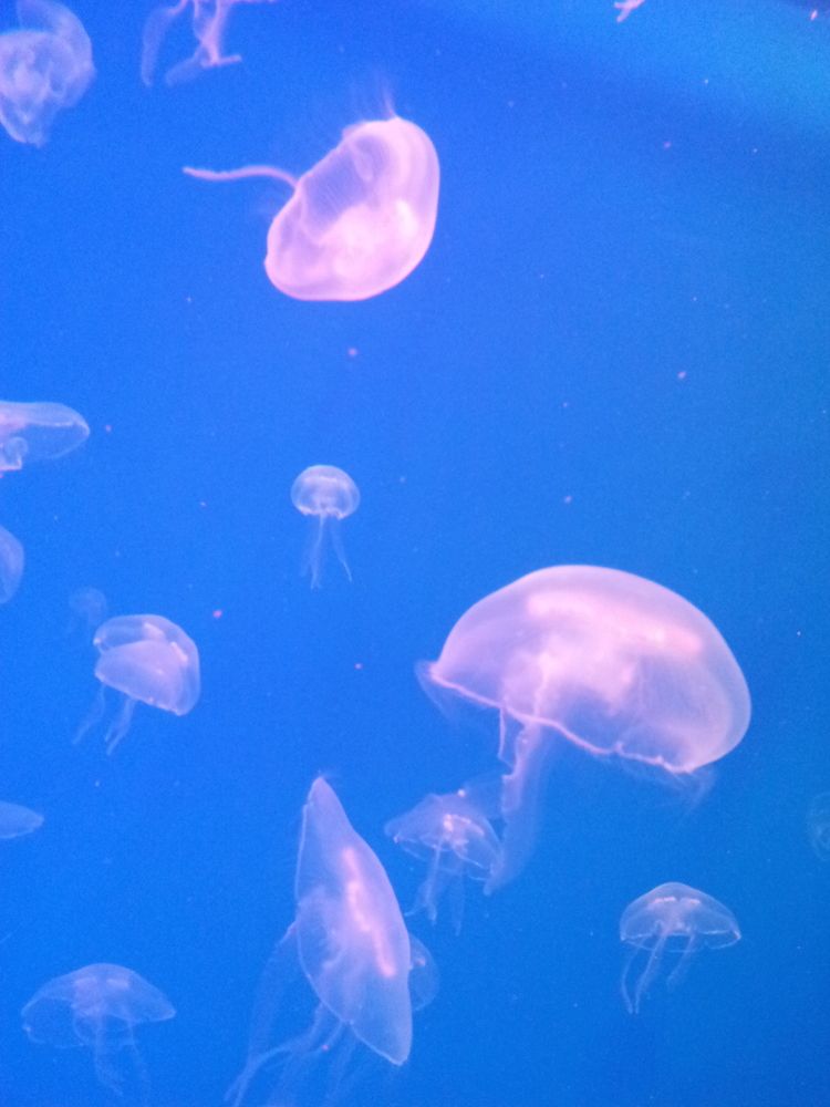 Photograph by Эвелина Бикмурзина