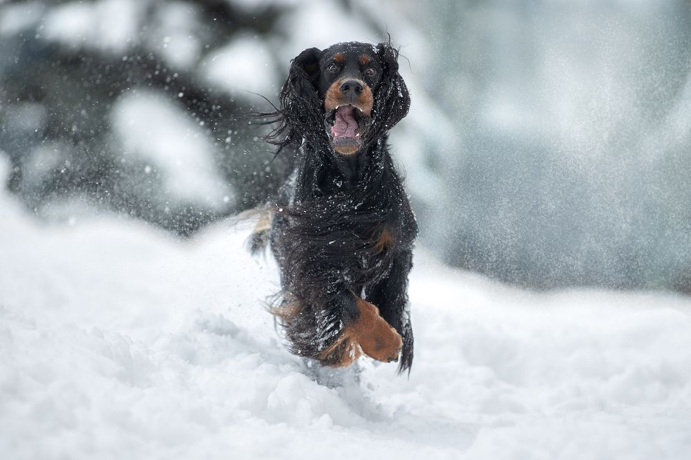 Photograph by Светлана Писарева