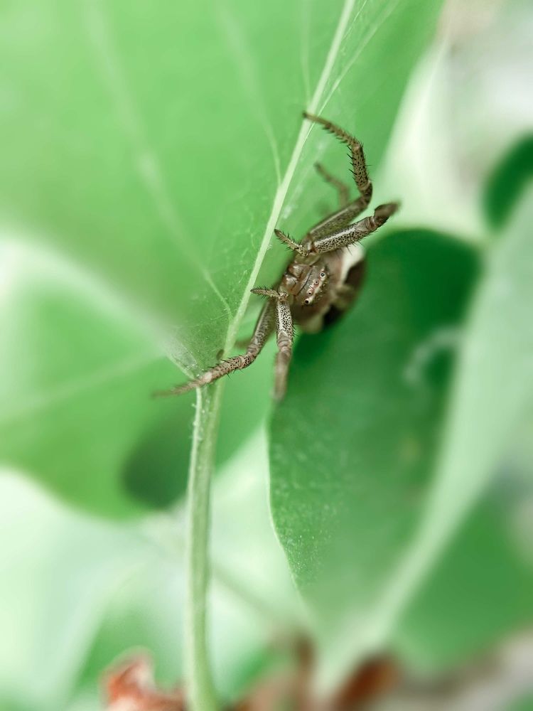 Photograph by Анна