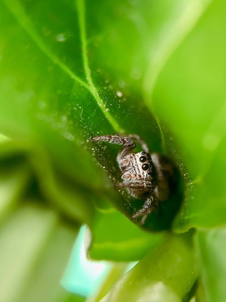 Photograph by Анна