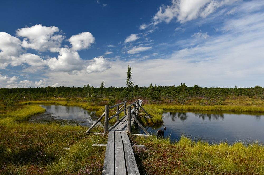 Photograph by Svetlana Jarbuse