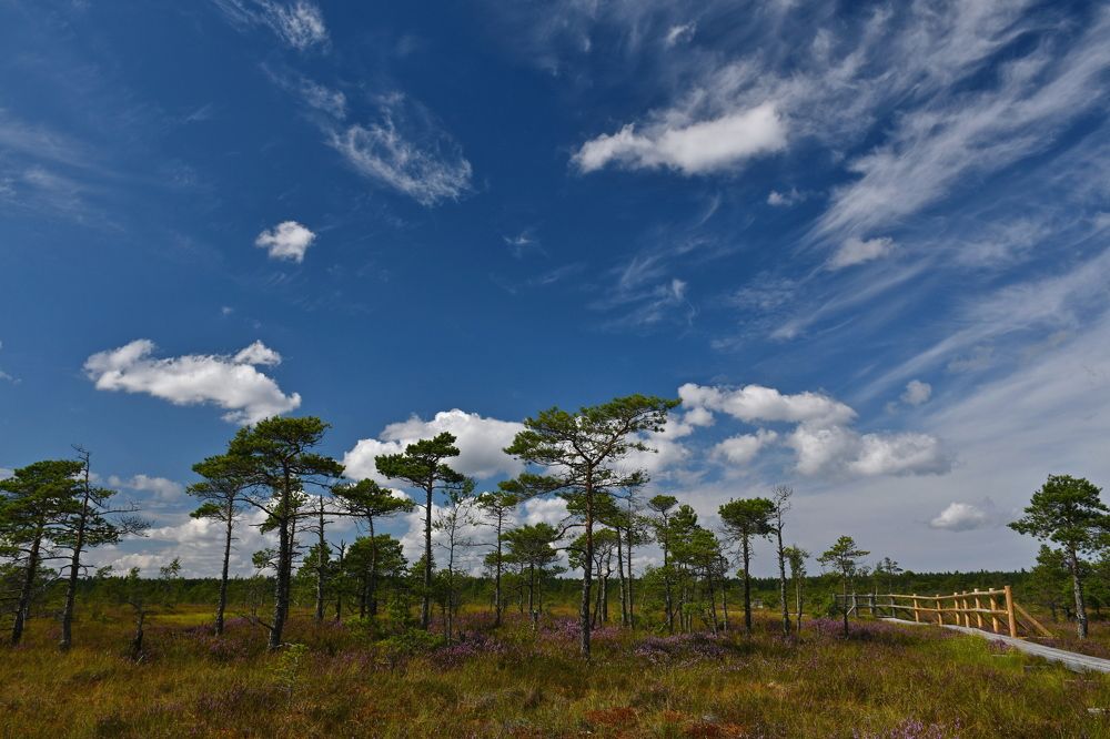 Photograph by Svetlana Jarbuse