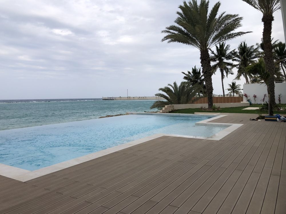 Photograph by Alvin Cells