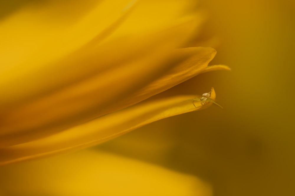 Photograph by Анна