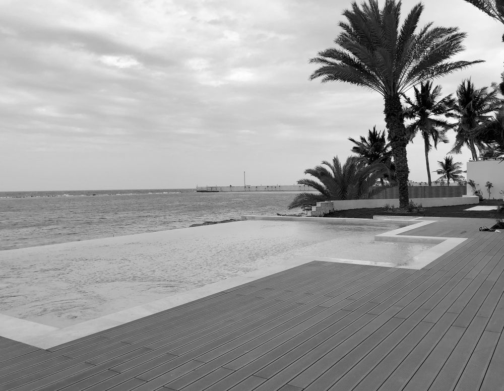 Photograph by Alvin Cells