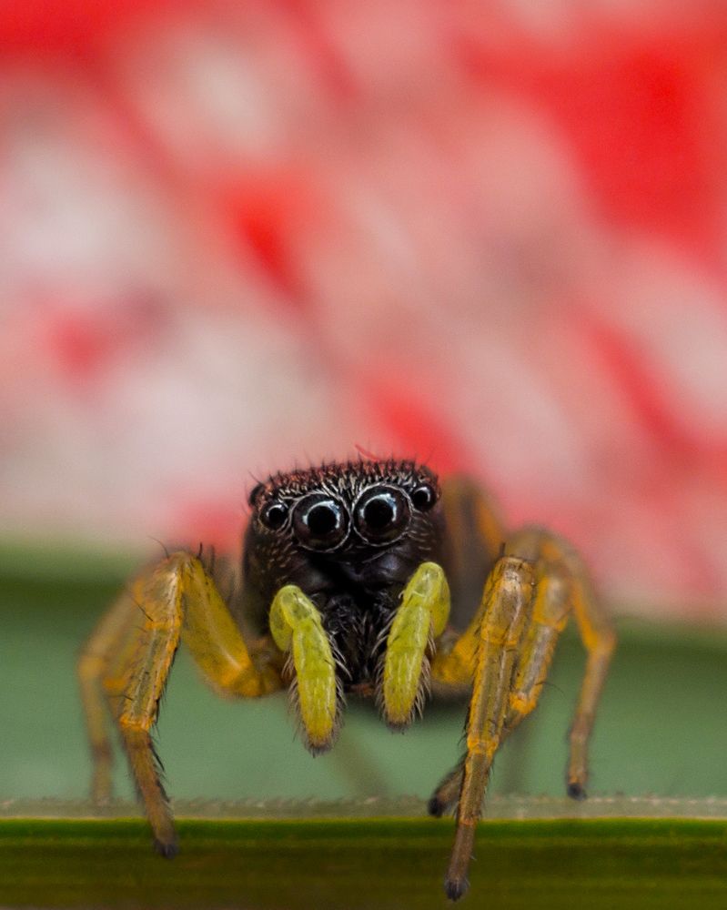 Photograph by Степан Соловьёв