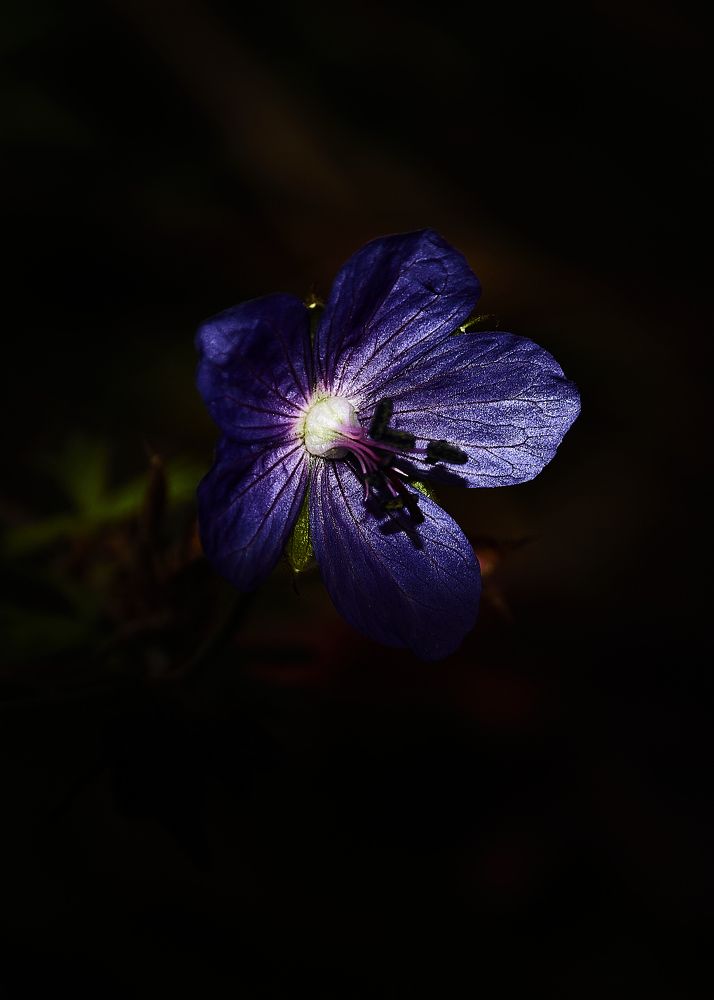 Photograph by Слава Саломатин