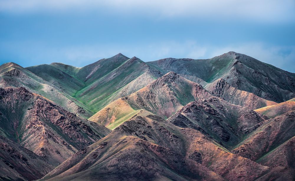 Kalajun Grassland light