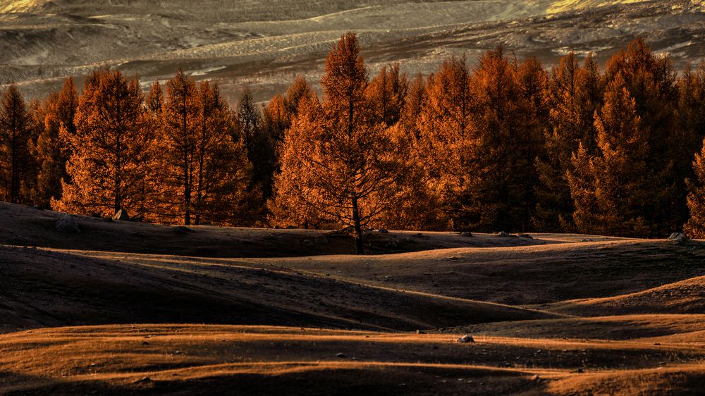 Ulaanbaatar Pastureland morning