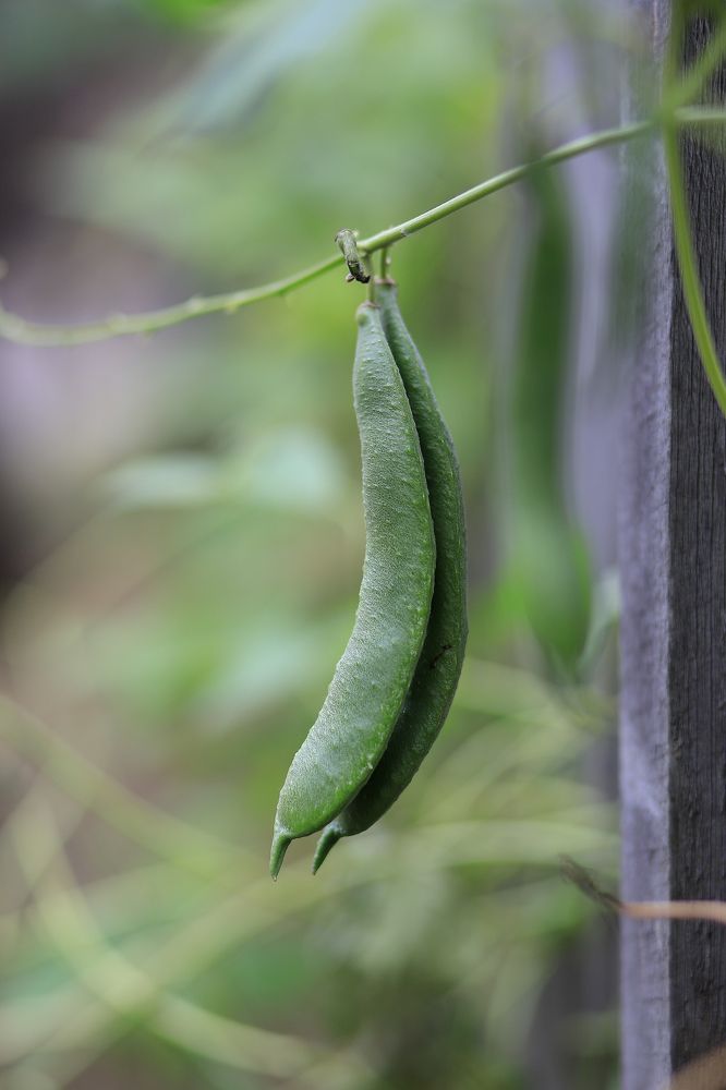 Фотография автора Александра Асаулко