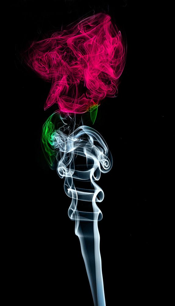 Photograph by SHUBHENDU BANERJEE