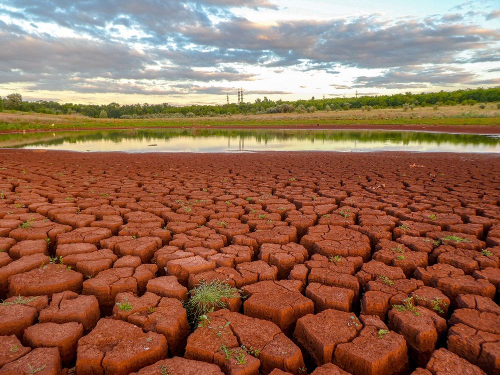 Photograph by Евгений