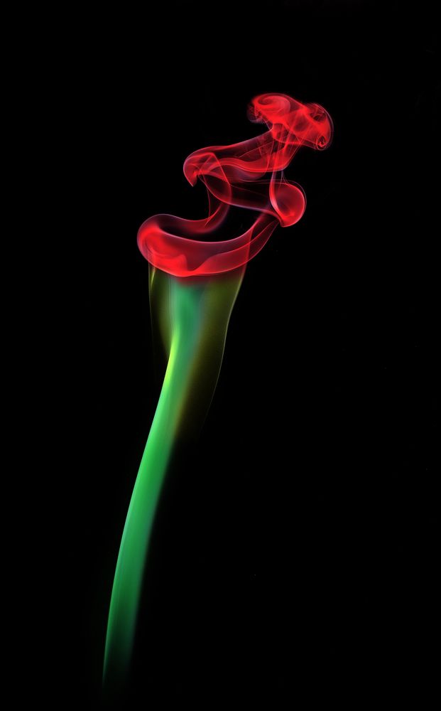 Photograph by SHUBHENDU BANERJEE