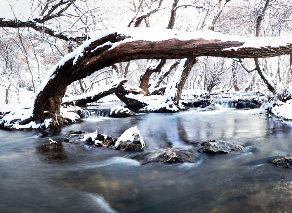 Photograph by Arash Abbaspoory