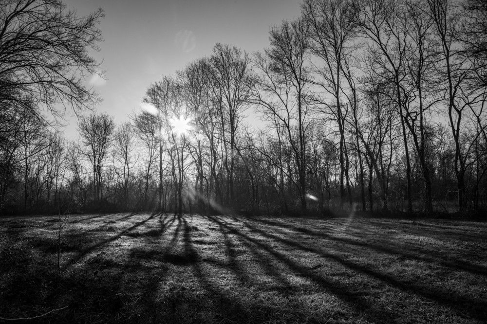 Photograph by Miloš Anđušić