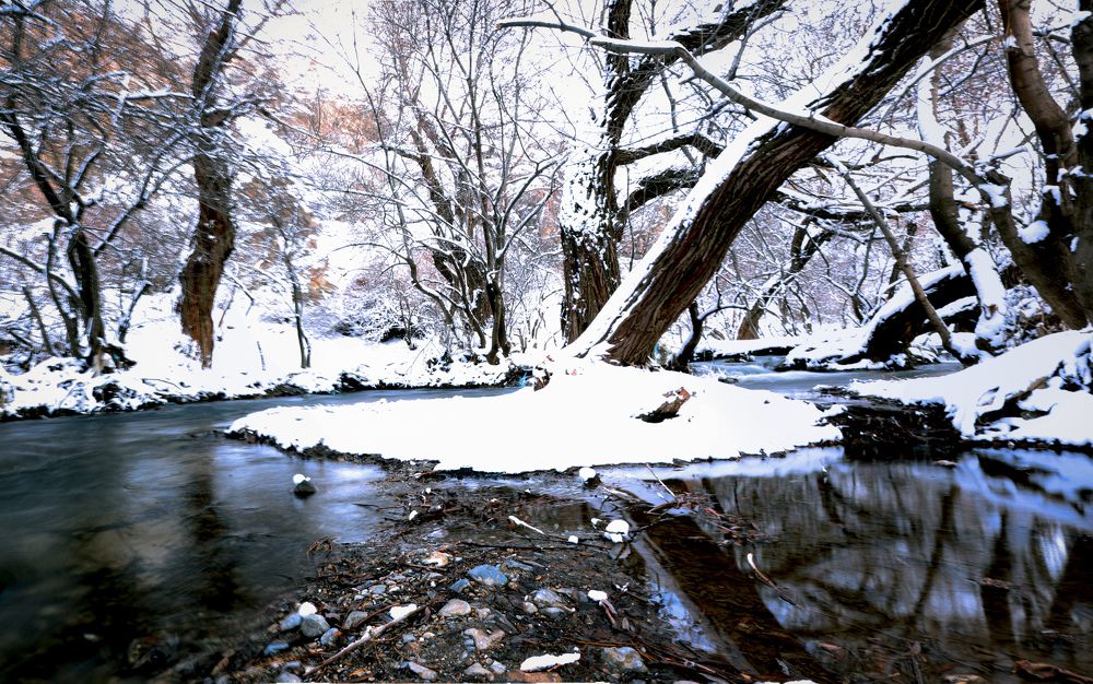 Photograph by Arash Abbaspoory