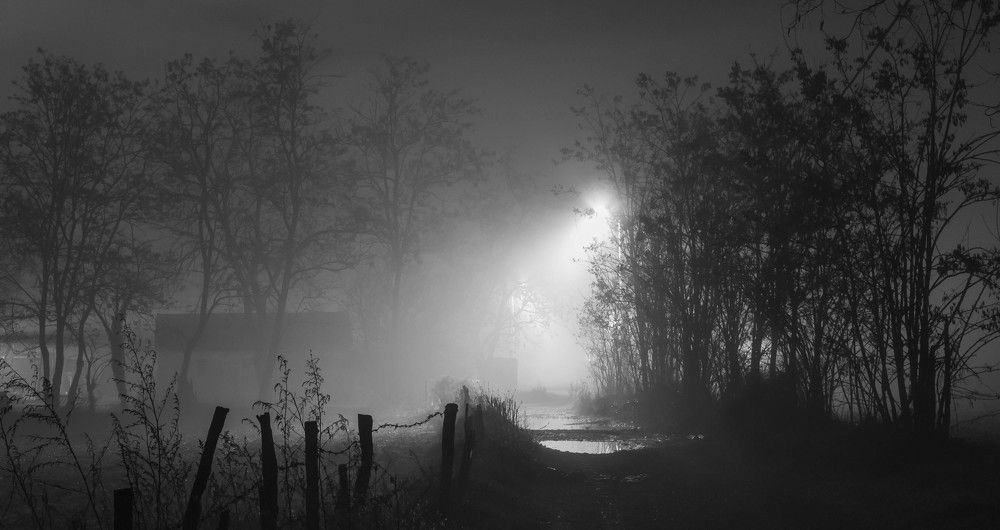 Photograph by Miloš Anđušić