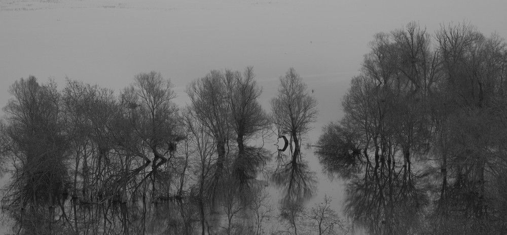 Photograph by Miloš Anđušić