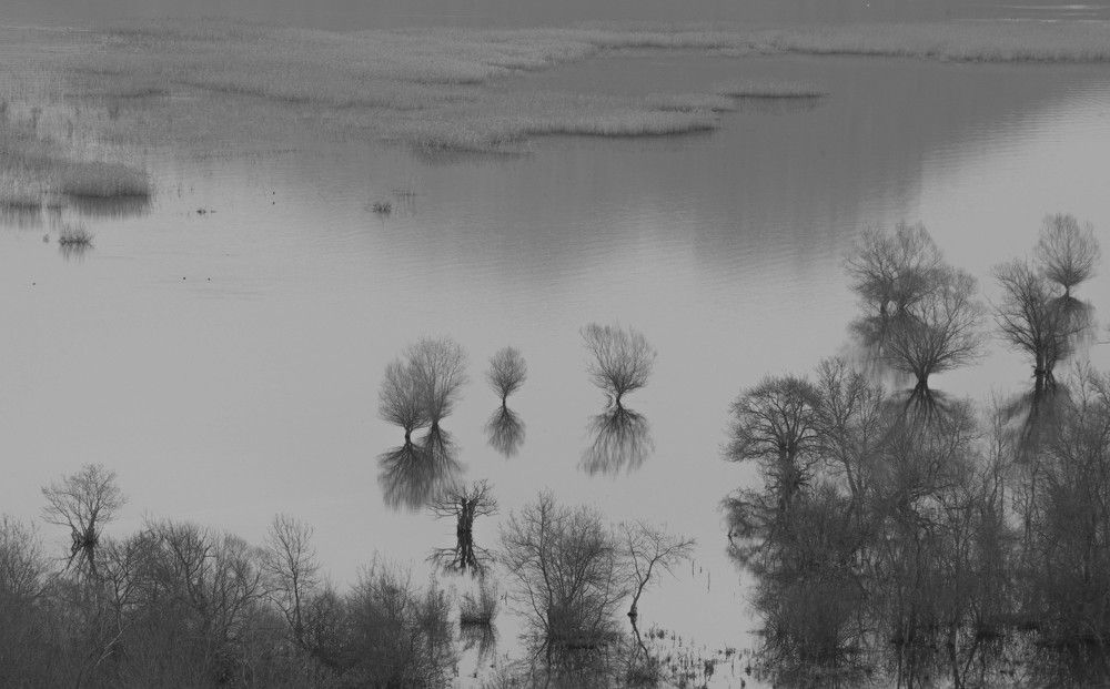 Photograph by Miloš Anđušić