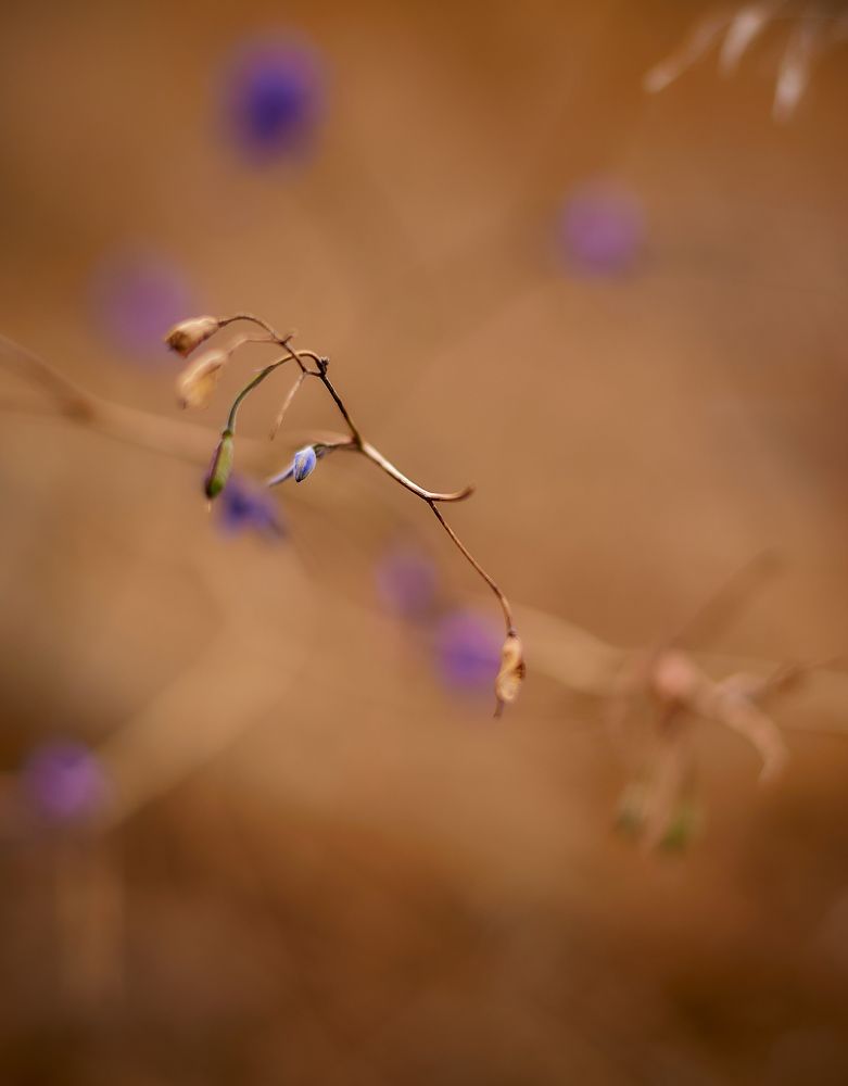 Photograph by Слава Саломатин
