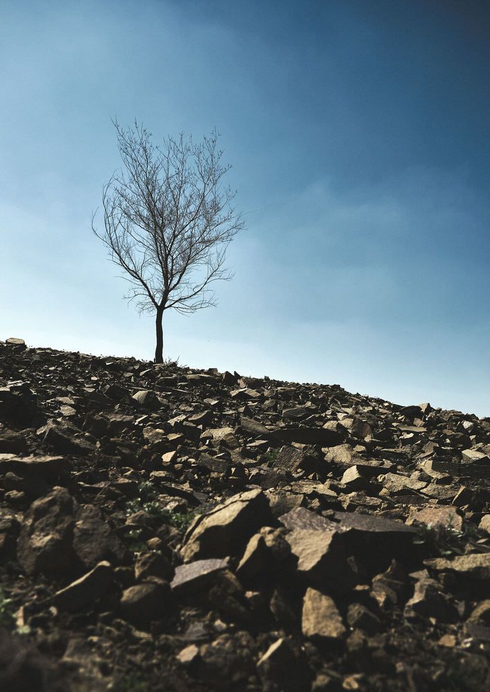 Photograph by Дмитрий Рысёв