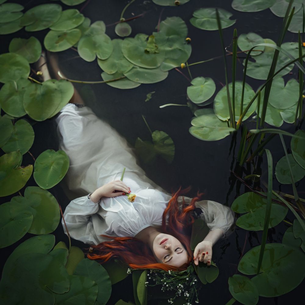 Photograph by Невмержицкая Татьяна