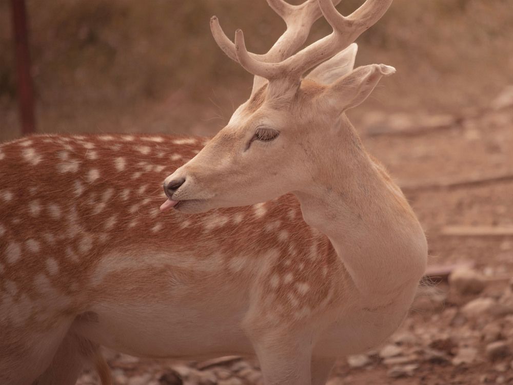 Photograph by Aleksandar Nikolov