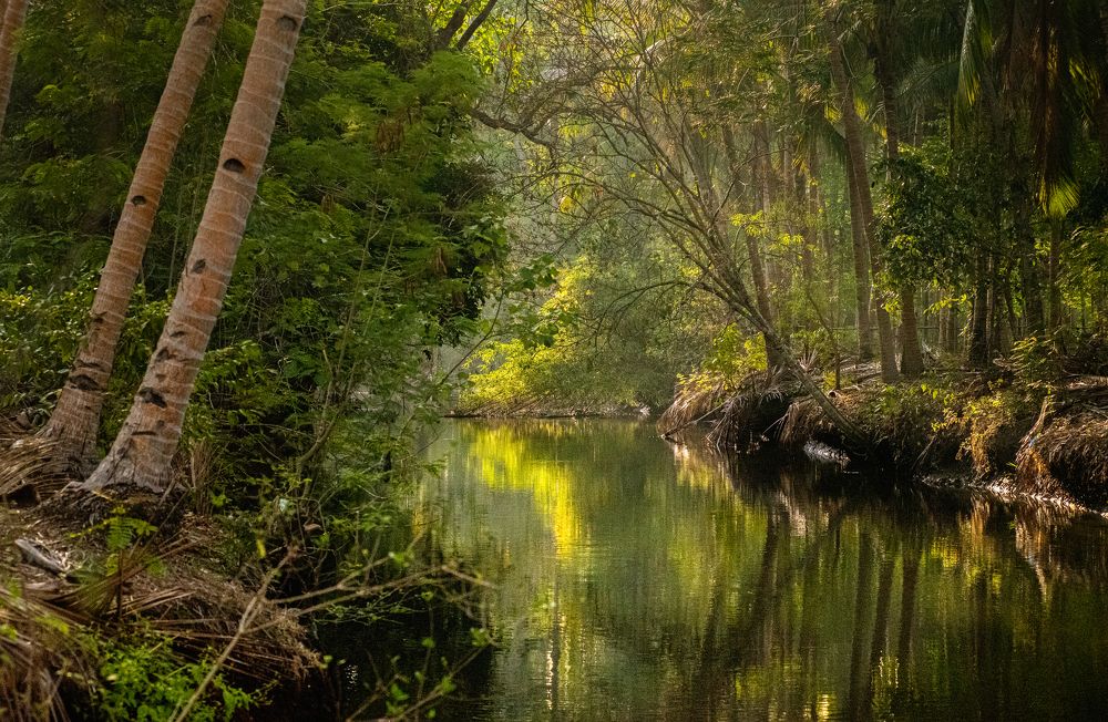 Photograph by HASHIM GOMBRI