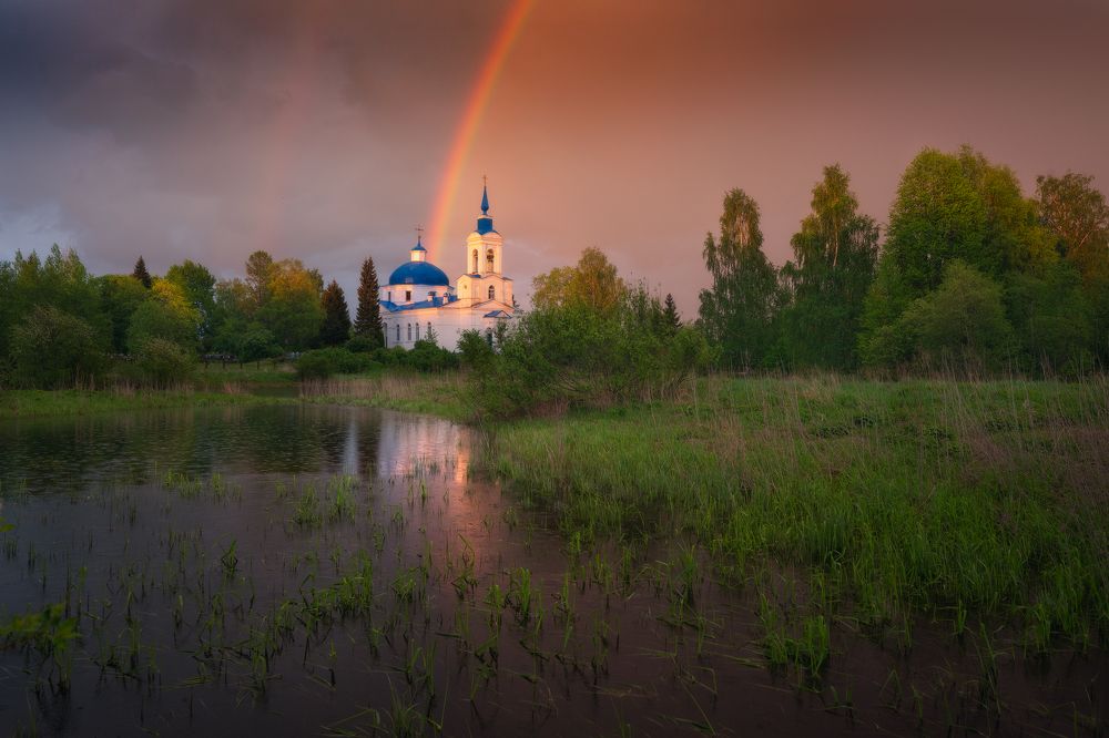 Летний дождь