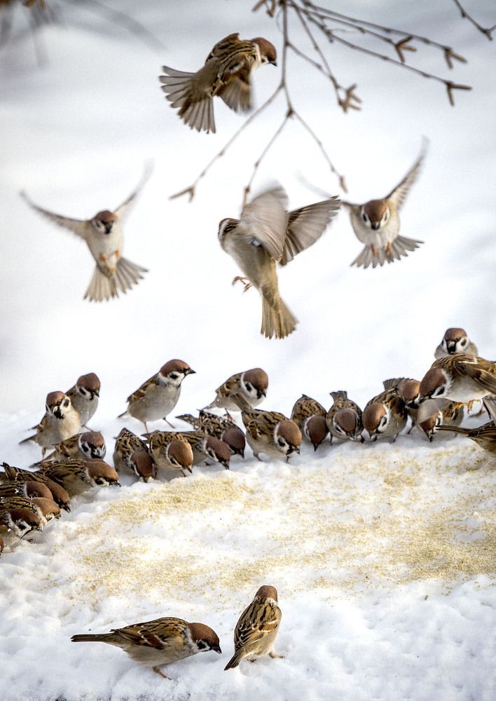 Photograph by Сергей Метелица