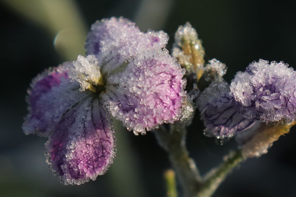 Photograph by Алексейчик Дмитрий